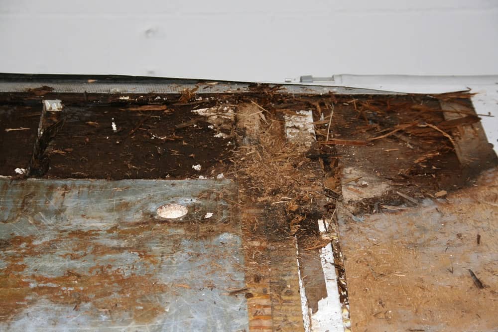 water ingress part two gallery item